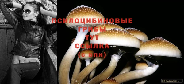 круглые Баксан