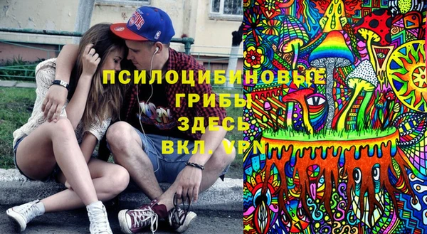 PSILOCYBIN Балабаново